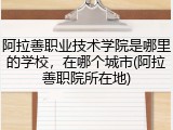 阿拉善职业技术学院是哪里的学校，在哪个城市(阿拉善职院所在地)
