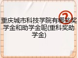重庆城市科技学院有哪些奖学金和助学金呢(重科奖助学金)