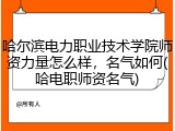 哈尔滨电力职业技术学院师资力量怎么样，名气如何(哈电职师资名气)