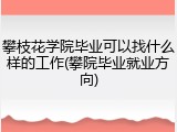 攀枝花学院毕业可以找什么样的工作(攀院毕业就业方向)
