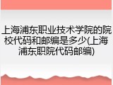 上海浦东职业技术学院的院校代码和邮编是多少(上海浦东职院代码邮编)