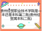 贵州经贸职业技术学院是一本还是本科第二批(贵州经贸属本科二批)