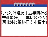 河北对外经贸职业学院什么专业最好，一年招多少人(河北外经贸热门专业招生)