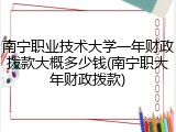 南宁职业技术大学一年财政拨款大概多少钱(南宁职大年财政拨款)