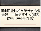 眉山职业技术学院什么专业最好，一年招多少人(眉职院热门专业招生数)