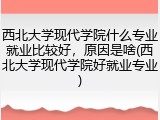 西北大学现代学院什么专业就业比较好，原因是啥(西北大学现代学院好就业专业)