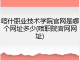 喀什职业技术学院官网是哪个网址多少(喀职院官网网址)
