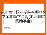湖北青年职业学院有哪些奖学金和助学金呢(湖北职院奖助学金)