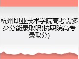 杭州职业技术学院高考需多少分能录取呢(杭职院高考录取分)