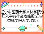 辽宁中医药大学杏林学院办理入学有什么攻略没(辽宁杏林学院入学攻略)