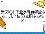 武汉城市职业学院有哪些专业，几个校区(武职专业校区)