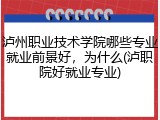 泸州职业技术学院哪些专业就业前景好，为什么(泸职院好就业专业)