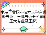 南京工业职业技术大学有哪些专业，王牌专业分析(南工大专业及王牌)