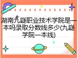 湖南九嶷职业技术学院是一本吗录取分数线多少(九嶷学院一本线)
