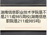 湖南信息职业技术学院是不是211或985高校(湖南信息职院是211或985吗)