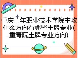 重庆青年职业技术学院主攻什么方向有哪些王牌专业(重青院王牌专业方向)