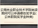云南林业职业技术学院就读期间可以申请哪些奖学金(云林职院奖学金种类)