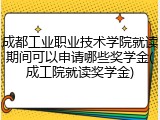 成都工业职业技术学院就读期间可以申请哪些奖学金(成工院就读奖学金)