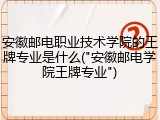 安徽邮电职业技术学院的王牌专业是什么("安徽邮电学院王牌专业")