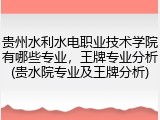 贵州水利水电职业技术学院有哪些专业，王牌专业分析(贵水院专业及王牌分析)