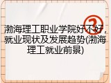 渤海理工职业学院好不好，就业现状及发展趋势(渤海理工就业前景)