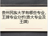 贵州民族大学有哪些专业，王牌专业分析(贵大专业及王牌)