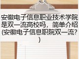 安徽电子信息职业技术学院是双一流高校吗，简单介绍(安徽电子信息职院双一流？)