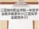 三亚城市职业学院一年奖学金最多能拿多少(三亚奖学金最高多少)