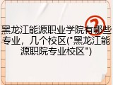 黑龙江能源职业学院有哪些专业，几个校区("黑龙江能源职院专业校区")