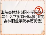 山东杏林科技职业学院毕业是什么学历有何优势(山东杏林职业学院学历优势)