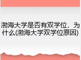 渤海大学是否有双学位，为什么(渤海大学双学位原因)