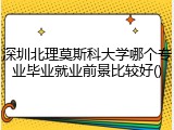 深圳北理莫斯科大学哪个专业毕业就业前景比较好()