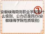 安徽绿海商务职业学院是什么级别，公办还是民办(安徽绿海学院性质级别)