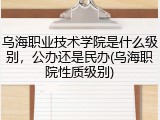 乌海职业技术学院是什么级别，公办还是民办(乌海职院性质级别)