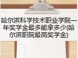 哈尔滨科学技术职业学院一年奖学金最多能拿多少(哈尔滨职院最高奖学金)