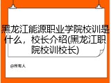黑龙江能源职业学院校训是什么，校长介绍(黑龙江职院校训校长)