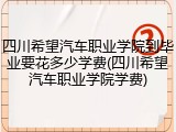四川希望汽车职业学院到毕业要花多少学费(四川希望汽车职业学院学费)
