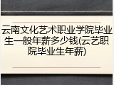 云南文化艺术职业学院毕业生一般年薪多少钱(云艺职院毕业生年薪)