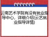 云南艺术学院有没有就业指导中心，详细介绍(云艺就业指导详情)