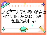 武汉理工大学如何申请在读间的创业无息贷款(武理工创业贷款申请)