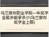 乌兰察布职业学院一年奖学金最多能拿多少(乌兰察布奖学金上限)