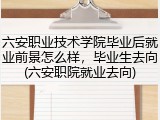六安职业技术学院毕业后就业前景怎么样，毕业生去向(六安职院就业去向)