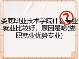 娄底职业技术学院什么专业就业比较好，原因是啥(娄职就业优势专业)