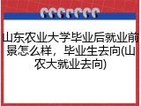 山东农业大学毕业后就业前景怎么样，毕业生去向(山农大就业去向)