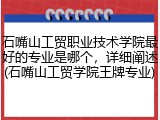 石嘴山工贸职业技术学院最好的专业是哪个，详细阐述(石嘴山工贸学院王牌专业)
