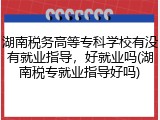 湖南税务高等专科学校有没有就业指导，好就业吗(湖南税专就业指导好吗)