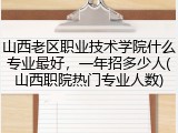 山西老区职业技术学院什么专业最好，一年招多少人(山西职院热门专业人数)