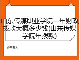 山东传媒职业学院一年财政拨款大概多少钱(山东传媒学院年拨款)