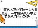 宁夏艺术职业学院什么专业最好，一年招多少人(宁艺职院热门专业及招生)