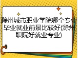 滁州城市职业学院哪个专业毕业就业前景比较好(滁州职院好就业专业)